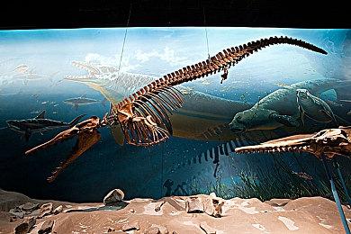 IGN调查：超一半玩家认为“黄金树幽影”难度刚好