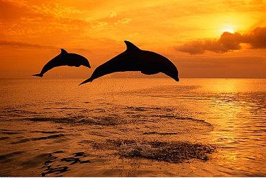 《八方旅人2》正式宣布 明年2月24日发售